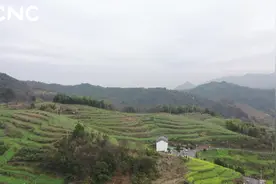 瞰中国｜春到江南油菜花开视频封面