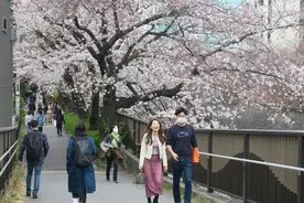 日本女孩翻唱中国抗疫歌曲，暖了图片