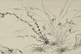 兰称国香，兰为君子，北京人为什么这么喜欢兰花？一文读懂图片