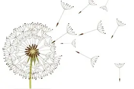 19岁儿子去世10年后，她说出了坚强活下来的理由图片