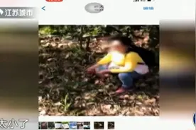 小心违法！景区春笋屡屡被偷挖，破坏生态将按条例处罚图片
