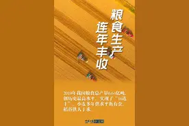 还在传要“囤粮”？八张图告诉你什么叫粮食大国图片