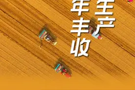 还在传要“囤粮”？八张图告诉你什么叫粮食大国图片