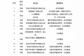 青岛四区85所配套幼儿园要整治 其中6所将成公办园43所将成普惠园图片