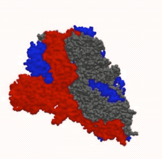 你也能为攻克新冠病毒贡献力量