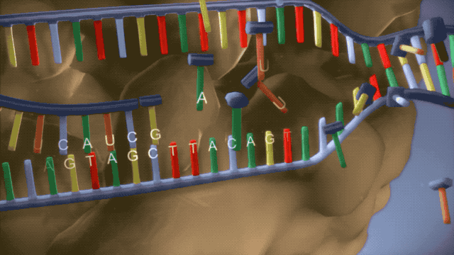 你也能为攻克新冠病毒贡献力量