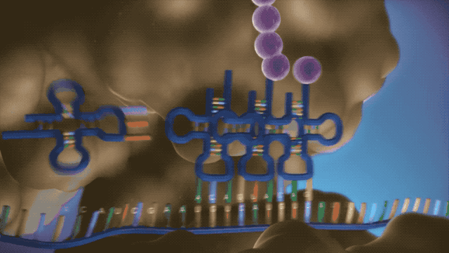 你也能为攻克新冠病毒贡献力量