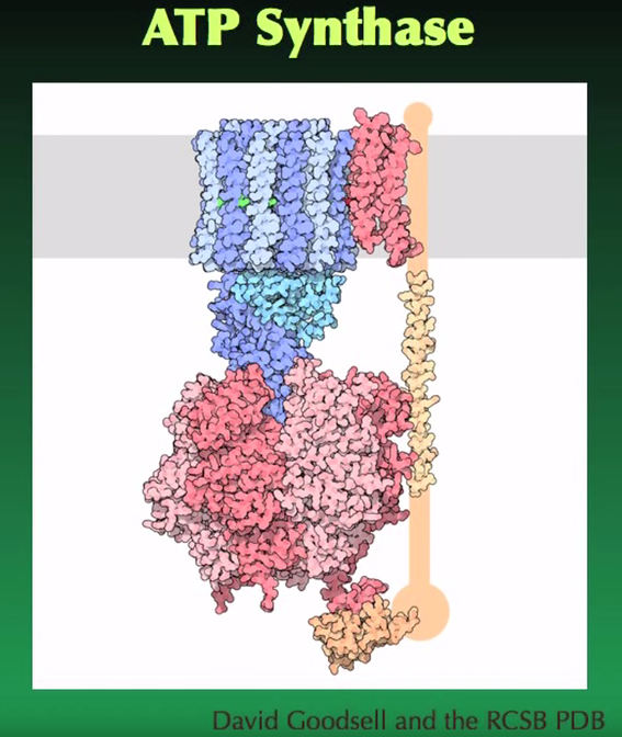 你也能为攻克新冠病毒贡献力量
