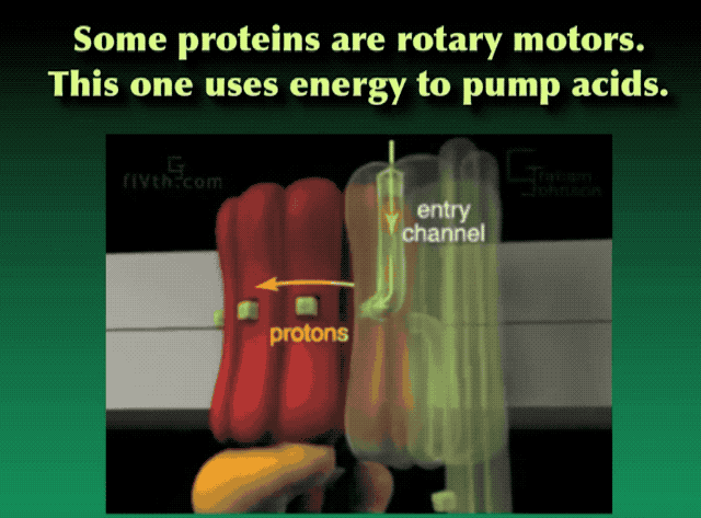 你也能为攻克新冠病毒贡献力量