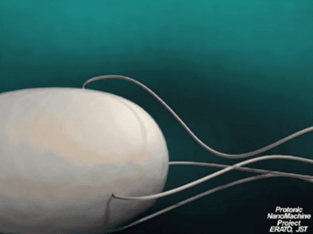 你也能为攻克新冠病毒贡献力量