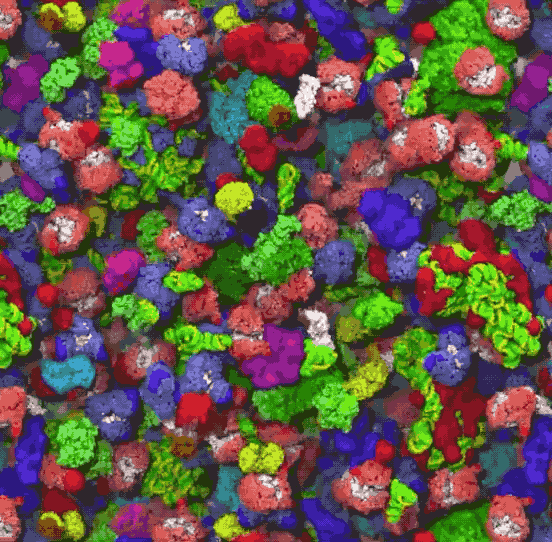 你也能为攻克新冠病毒贡献力量