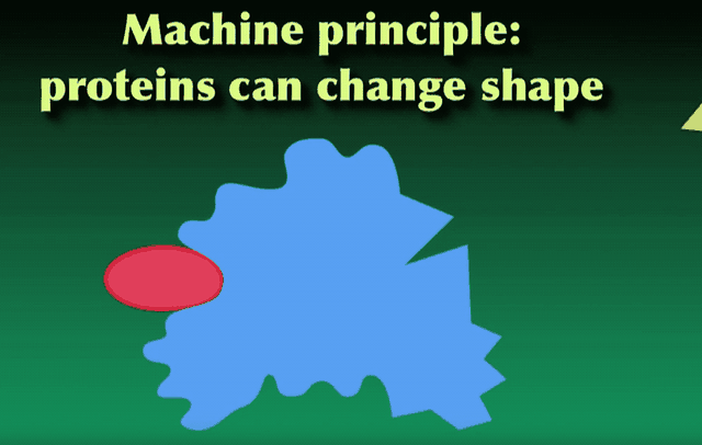 你也能为攻克新冠病毒贡献力量