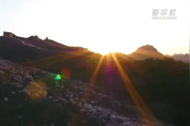 河北秦皇岛：长城两边杏花开视频封面