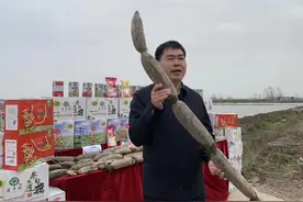 蔡甸区长郝胜勇为蔡甸莲藕代言 以产业扶贫带动群众增收致富图片