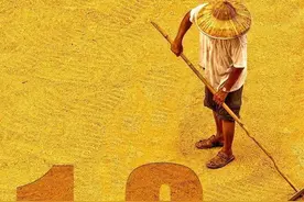 现在需不需要“囤粮”？答案都在这10张图里图片