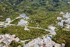 30万亩荔枝花绽放！央视直播广州从化荔枝花海和定制荔枝图片