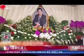 清明忆故人视频封面