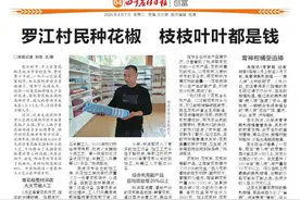 罗江村民种花椒 枝枝叶叶都是钱图片