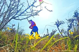 天朗气清！乌鲁木齐附近这几条徒步线路快收好图片
