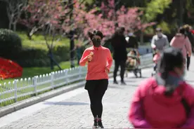 满园春色小桃园图片