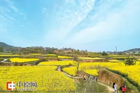 玩玩玩！小长假本地游受青睐 九成人选择本地半日游一日游图片