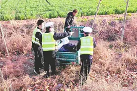 爆胎电三轮带着夫妻俩冲到沟里 巡逻民警遇求助合力保人车安全图片