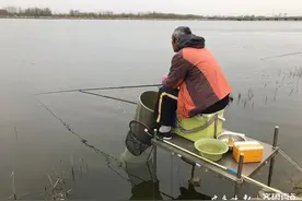 暮春野钓正当时，岸边钓鱼车排长龙图片