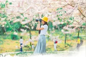 花正开 景正盛 客正来图片