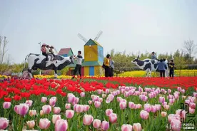 赏花游、踏青游、亲子游、登山游……临沂兰陵县各景点陆续开放图片