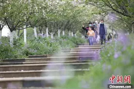 清明假期4325.4万人次出游，同比减少61.4%图片
