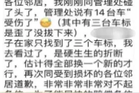 12辆奔驰+2辆迈巴赫车标被掰断！“黑手”是广州一豪宅业主的熊孩子图片