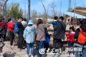 清明小长假，动物园人气爆棚图片