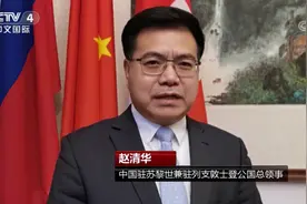 中国驻苏黎世兼驻列支敦士登公国总领馆：解侨胞及留学生“燃眉之急”图片