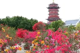 厦门国有A级景区今起免费开放！每天限流，这些景区提前要预约图片