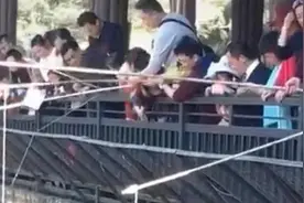 云南某动物园惊现“钓老虎”，园方回应：从没跳上来过图片