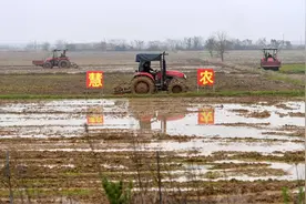春耕新事｜手机、无人机、遥控器……田间地头添了这些“新农具”图片