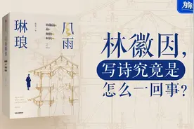 为你读书：林徽因，写诗究竟是怎么一回事？图片