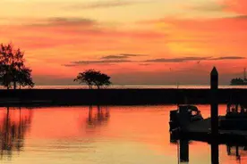 晨读｜博览群书图片