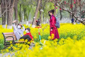 一起来云赏！东五环边上有片油菜花海视频封面