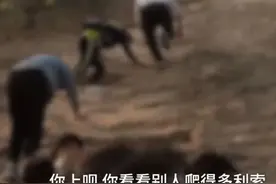 景区闭园，家长竟带孩子爬墙进入！保安怒怼：就这样教孩子？图片