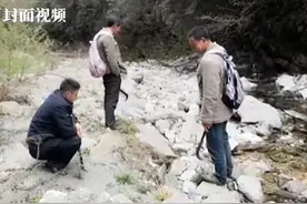北川六旬老人采野菜失踪3天2夜 警民联合搜寻两天后找到老人图片