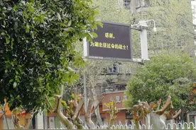 武汉解封丨在武汉的河南人曹延召：兴奋！真想出去透透气图片