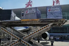成都至武汉明日复航！进出港武汉机场需出示“绿码”图片