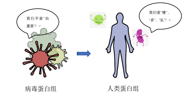 病毒与宿主的“相爱相克”