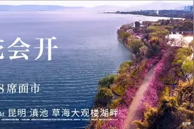 正处级单位！大专即可，国家粮食和物资储备局云南局招20人图片