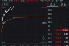 袁隆平重磅发声！大米股还是涨疯了：11天9个涨停板图片