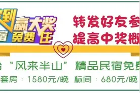 时隔11年，阿里重启“春雷计划”，帮助中小企业共渡难关图片