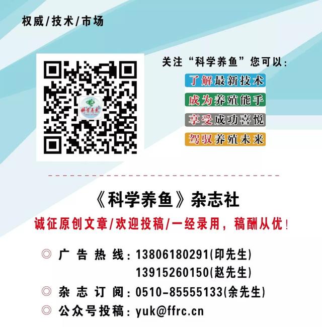 养虾调水有三难：培藻、底改和亚硝酸盐！养殖户如何破解？