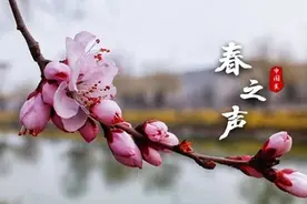 开足马力！正定新区这个重点项目开启“加速键”图片