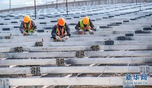 市县新观察｜复工复产，山东一些市这样统筹解决企业难题